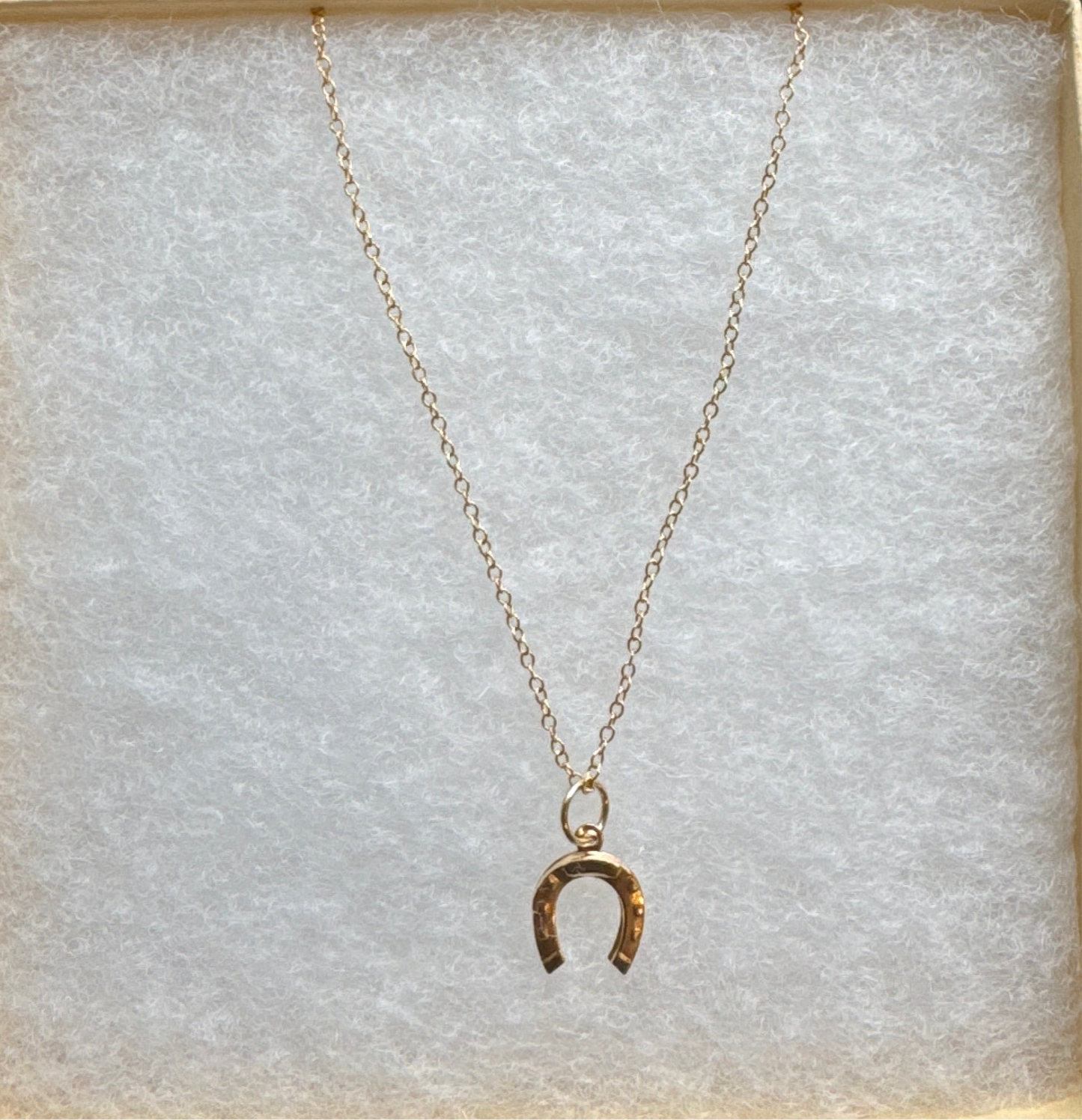 Horseshoe Necklace with Dainty Chain