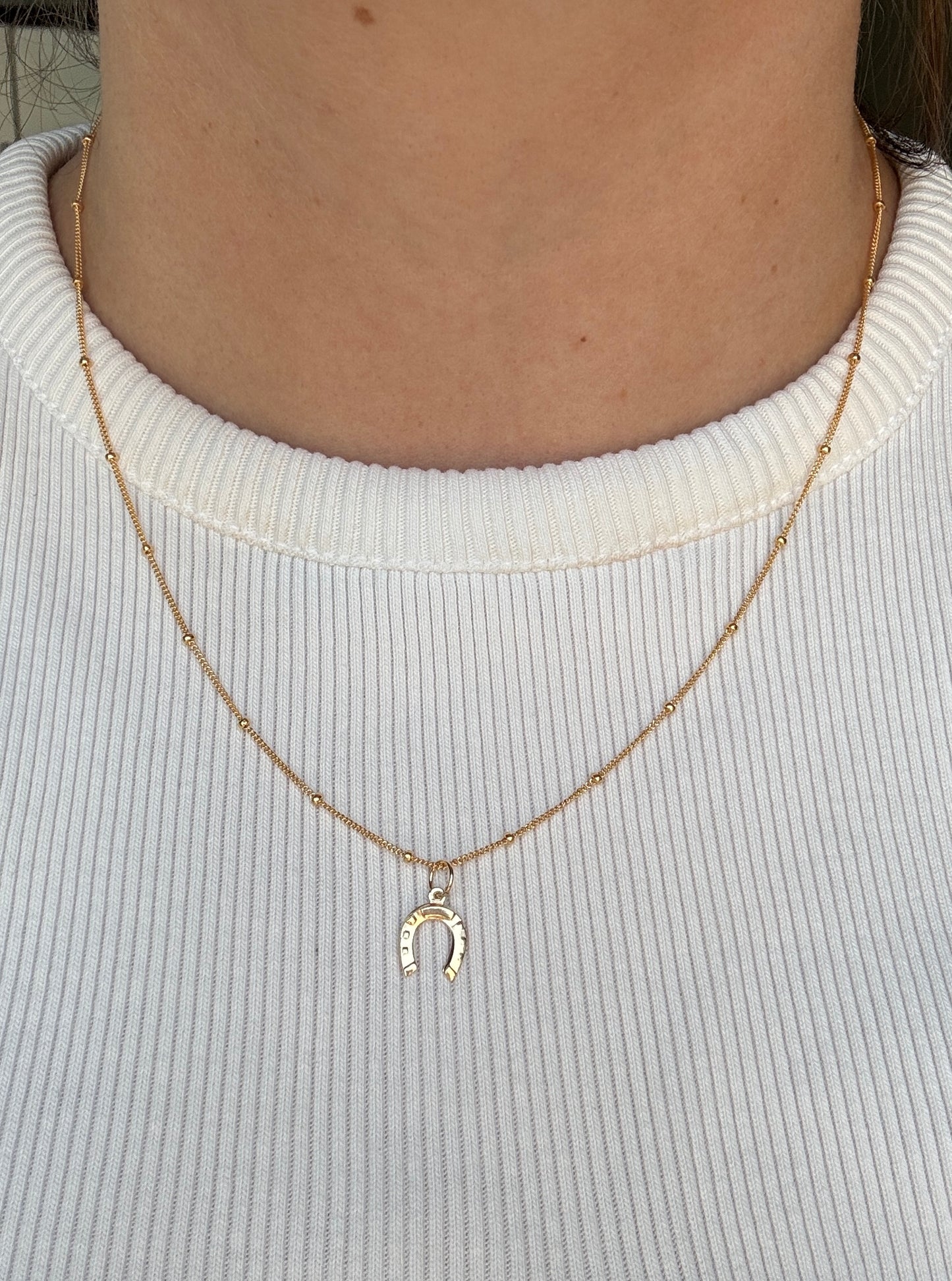 Horseshoe Necklace