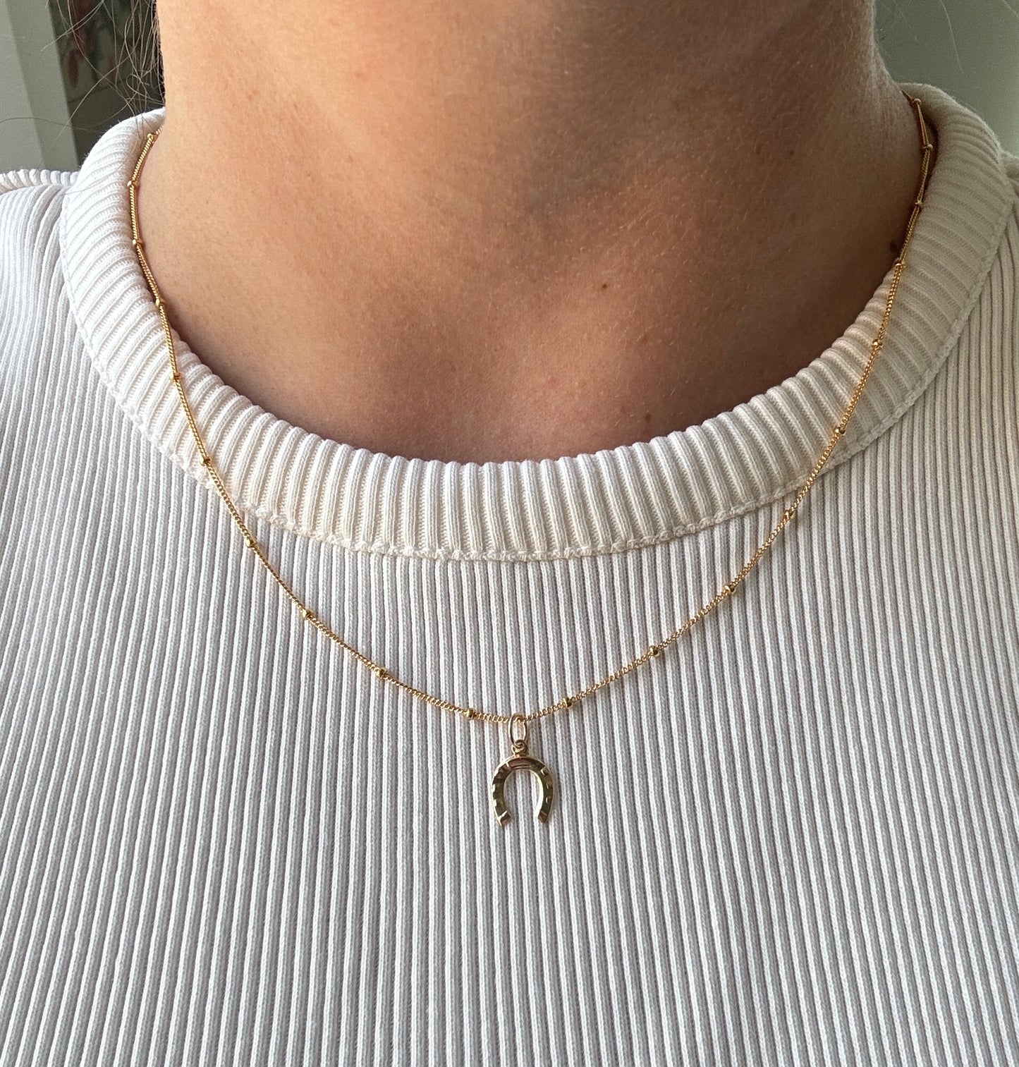 Horseshoe Necklace
