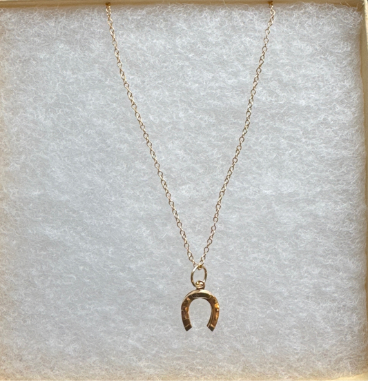Horseshoe Necklace with Dainty Chain